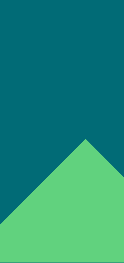BG – 21