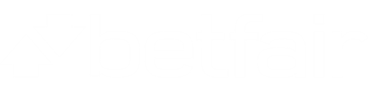 Betfair Logo Large White